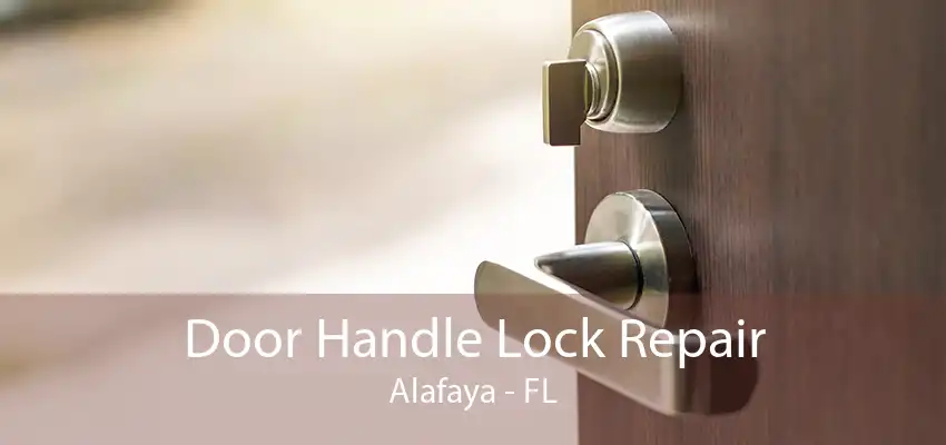 Door Handle Lock Repair Alafaya - FL