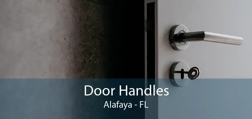 Door Handles Alafaya - FL