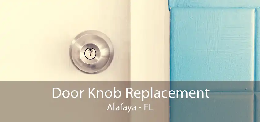 Door Knob Replacement Alafaya - FL