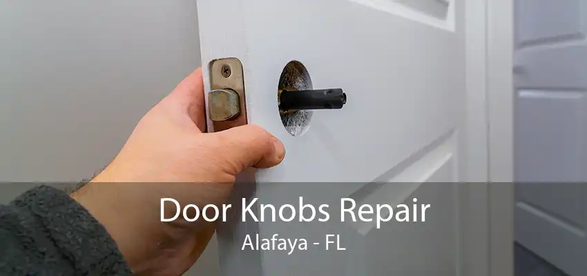 Door Knobs Repair Alafaya - FL
