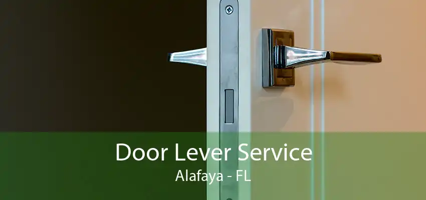 Door Lever Service Alafaya - FL