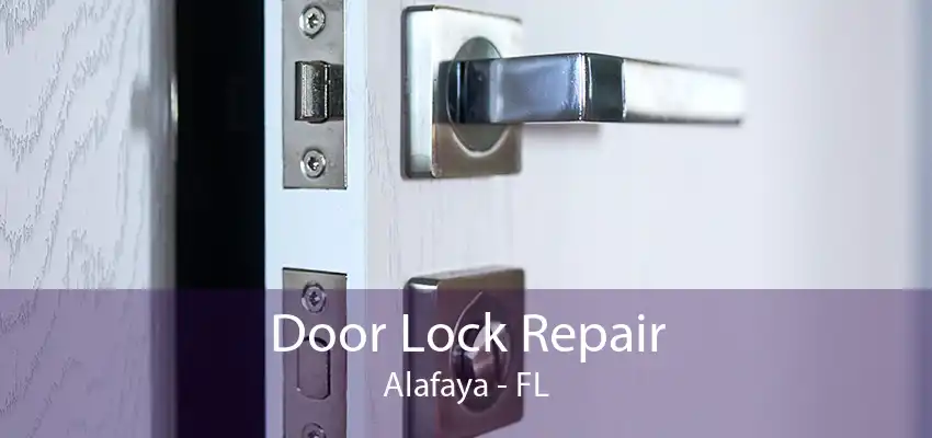 Door Lock Repair Alafaya - FL