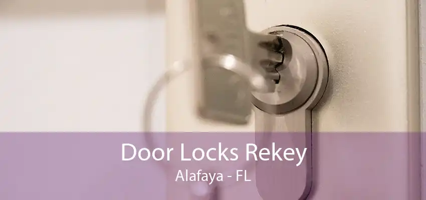 Door Locks Rekey Alafaya - FL
