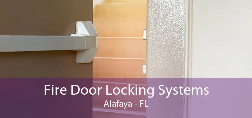 Fire Door Locking Systems Alafaya - FL