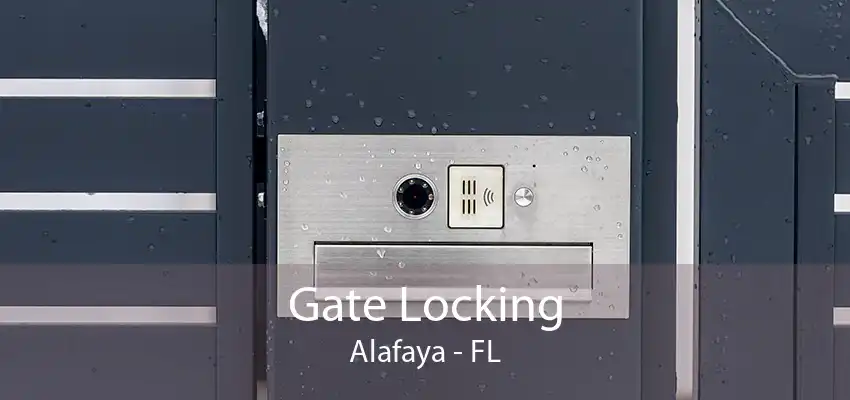 Gate Locking Alafaya - FL