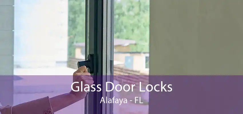Glass Door Locks Alafaya - FL