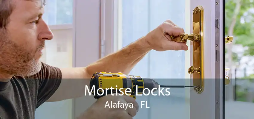 Mortise Locks Alafaya - FL
