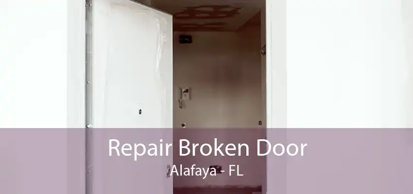 Repair Broken Door Alafaya - FL